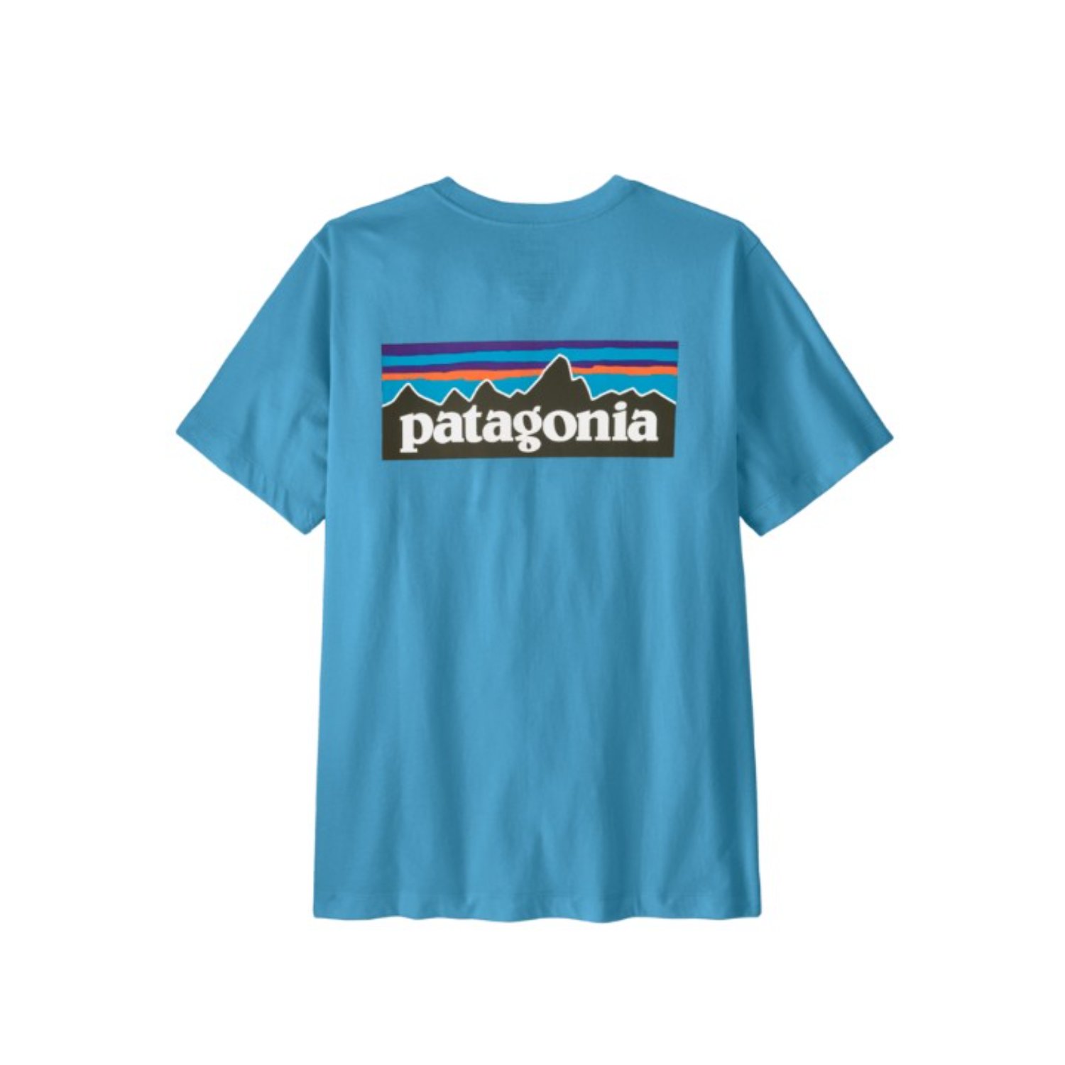 T-Shirt, Baumwolle, Türkis, Logo, Patagonia