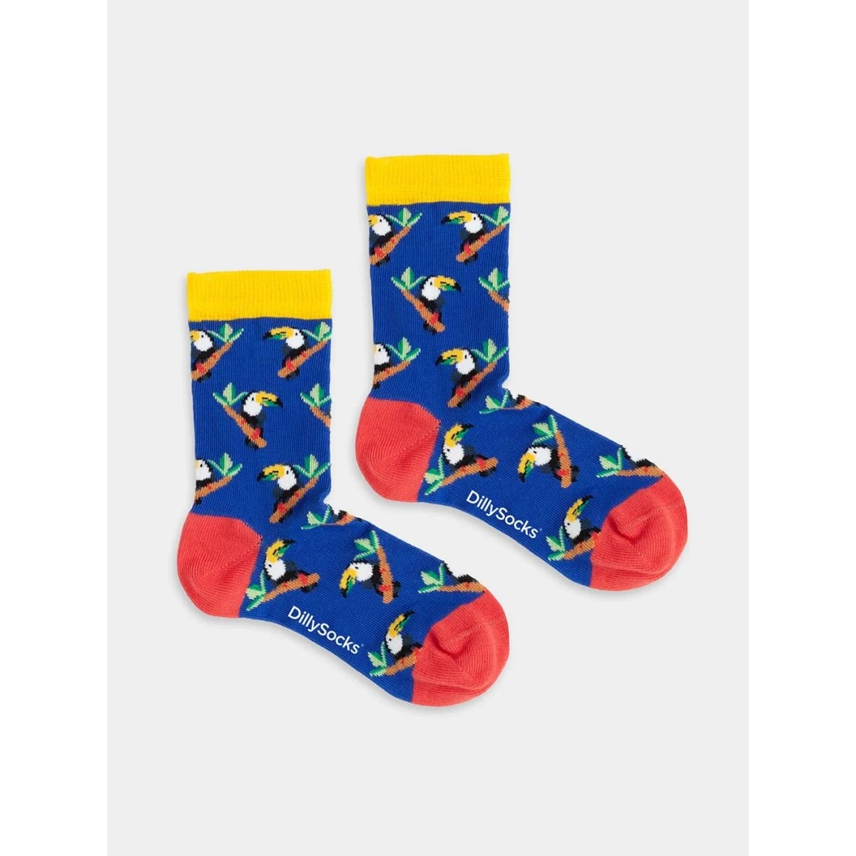 Lil Tropical Toucan Lil Tropical Toucan