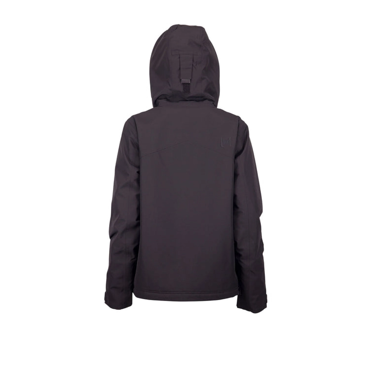 Veste, sweat à capuche ?, couleur foncée, softshell, vue de dos, sweat à capuche, veste d'hiver, couleur foncée, vue de dos, veste à capuche