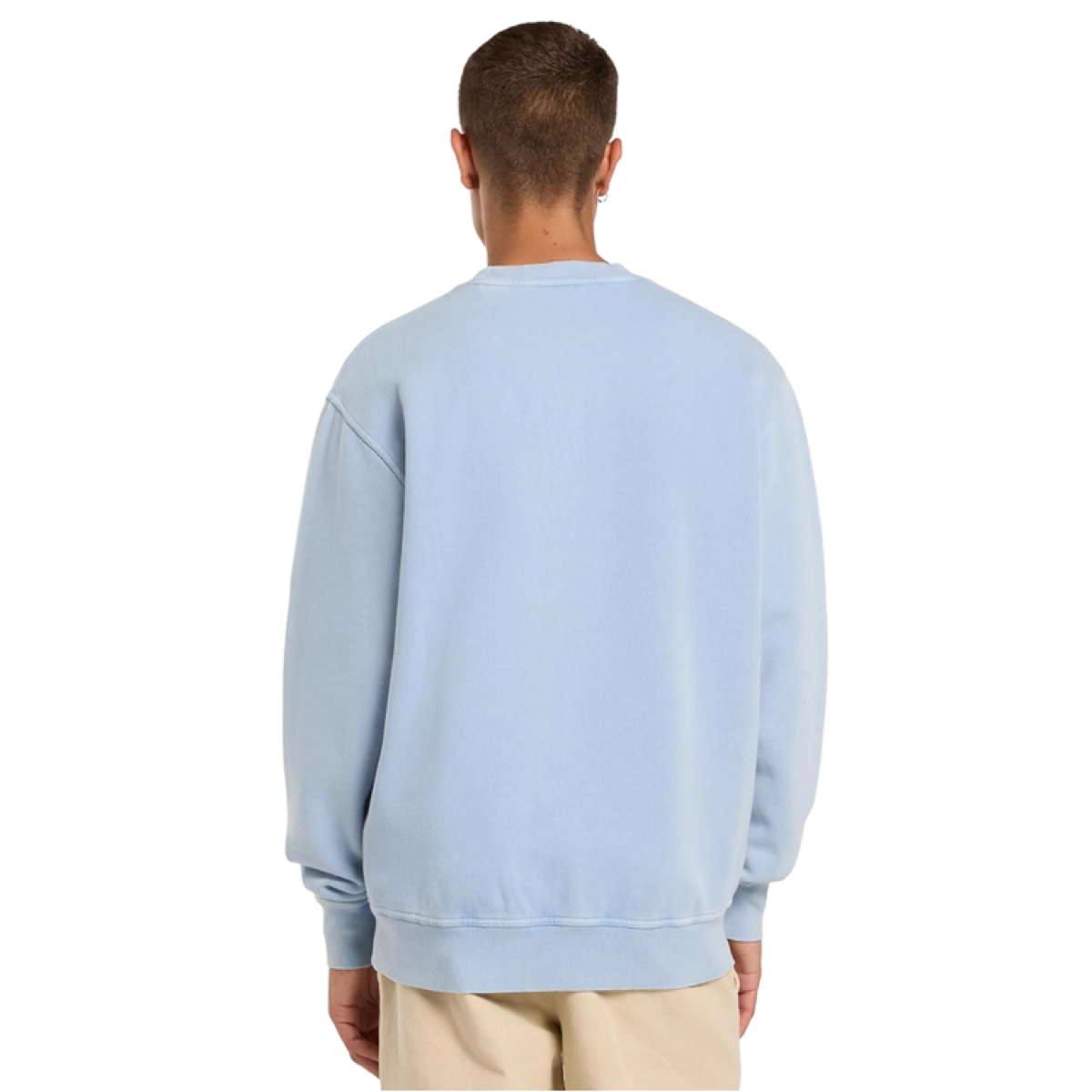 Sweat à capuche, sweat-shirt, bleu clair, vue de dos, encolure ronde