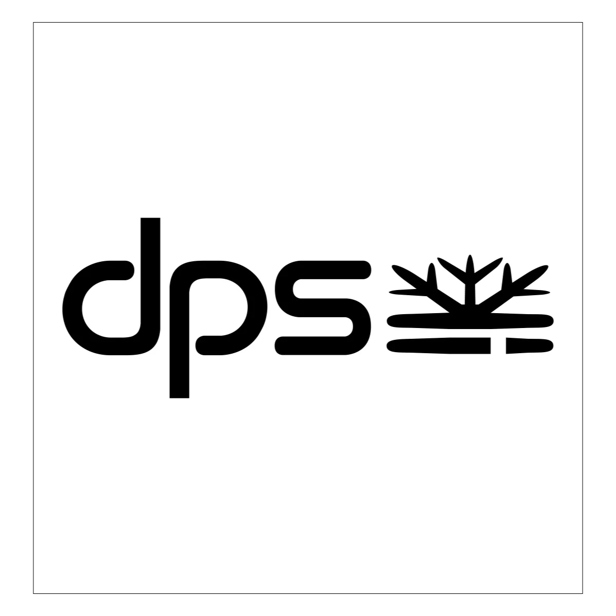 DPS Skis