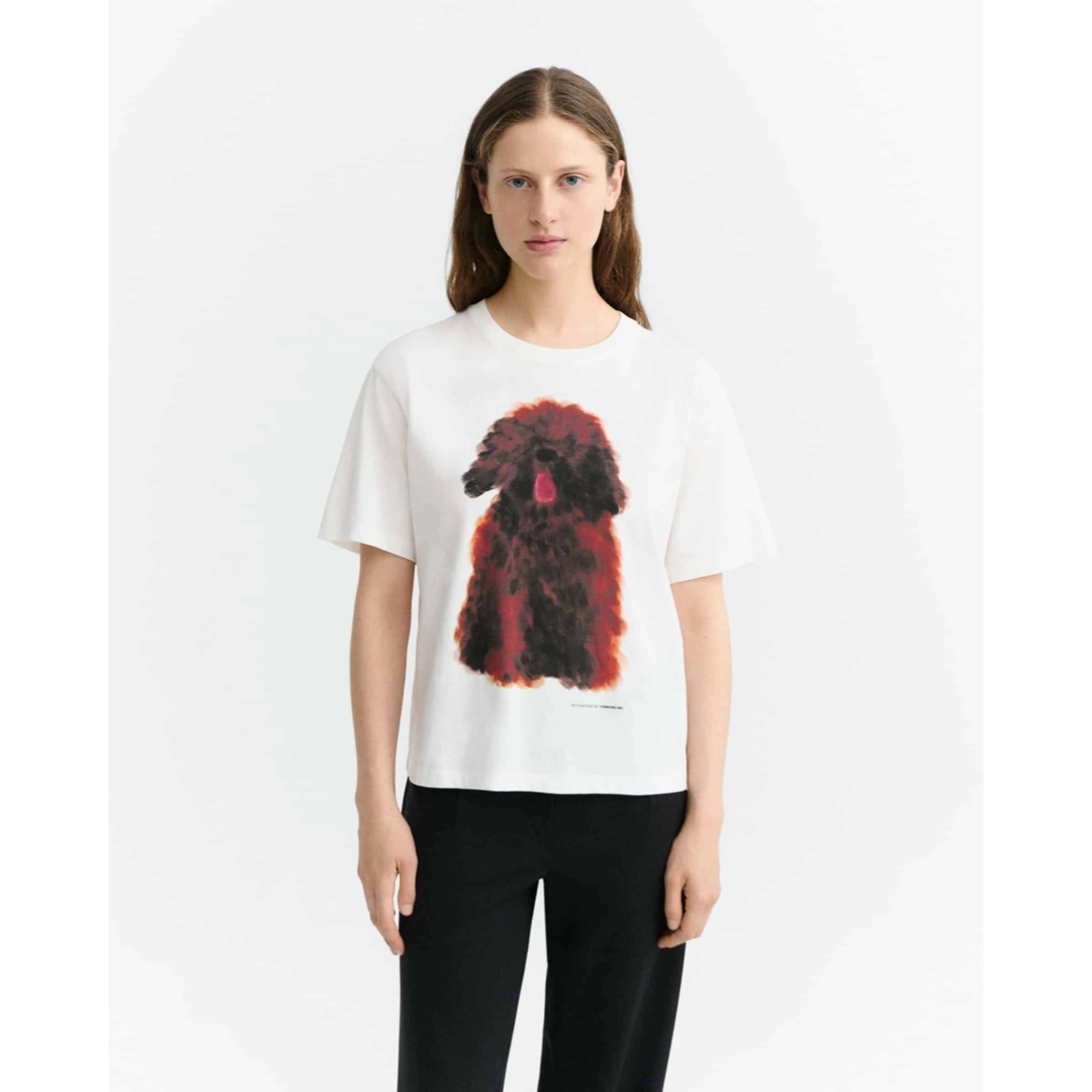 Pudel, Druck Haustier, Weißes T-Shirt, Hund Grafik, Kurze Ärmel, T-Shirt, Weiß, Druck, Hund, Kurzarm