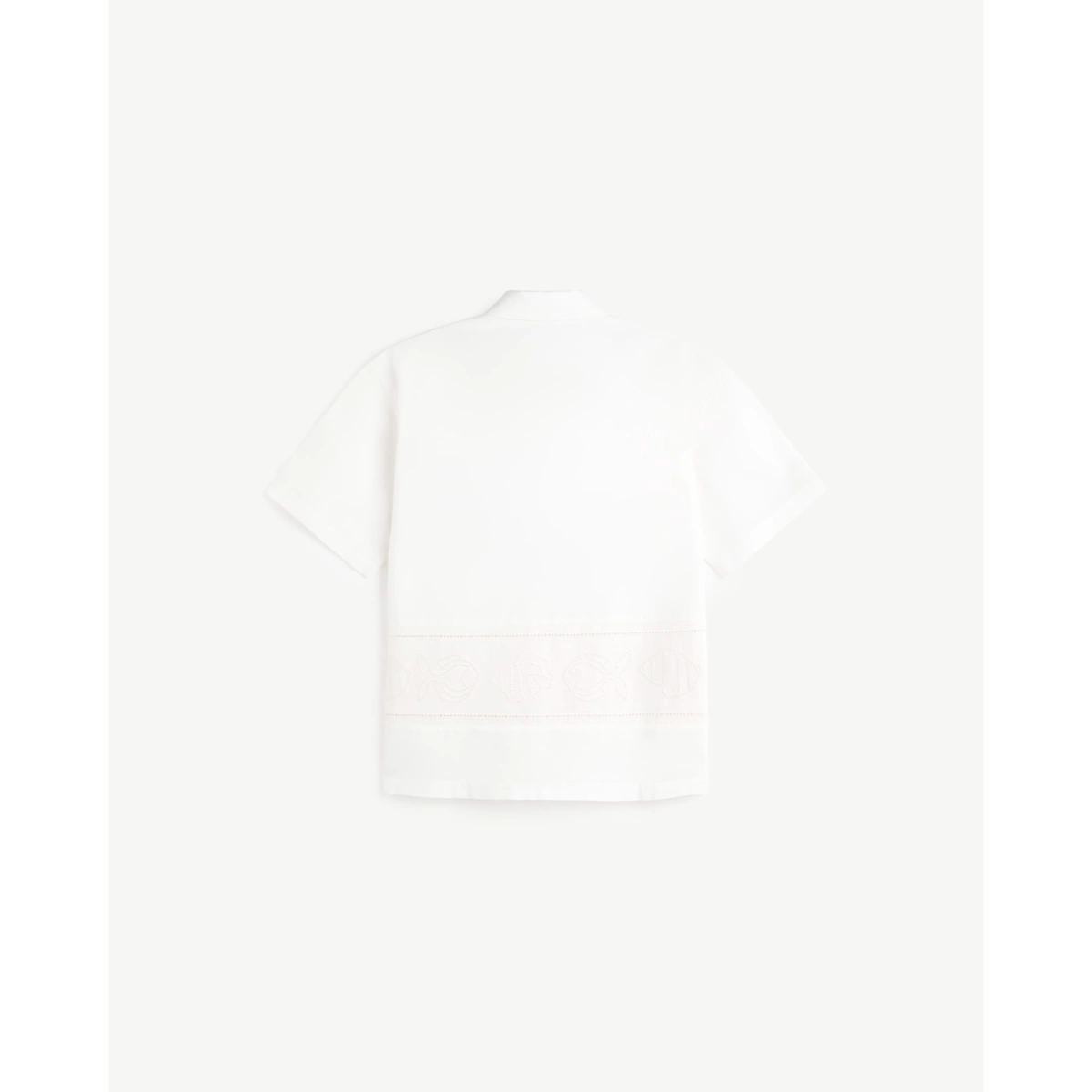 Kurtis Shirt
