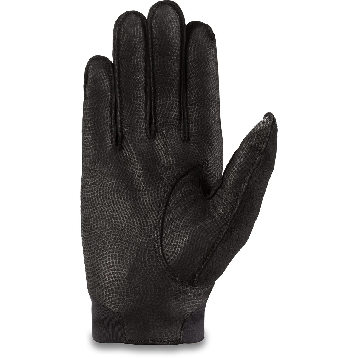 handschuh, leder, schwarz, texturiert, handschuh