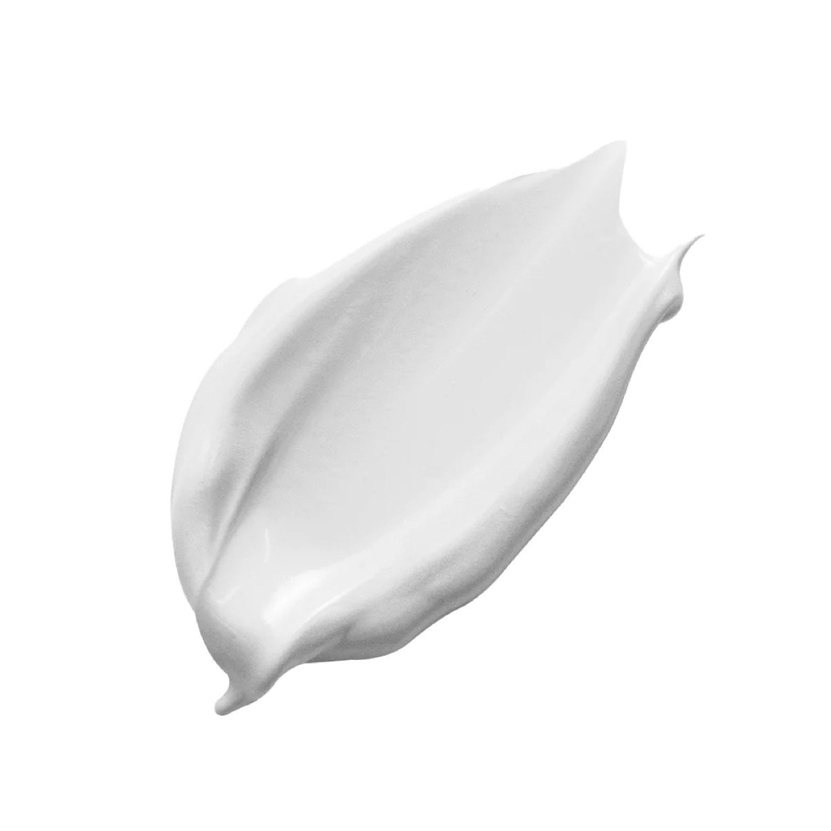 Blume, Pflanze