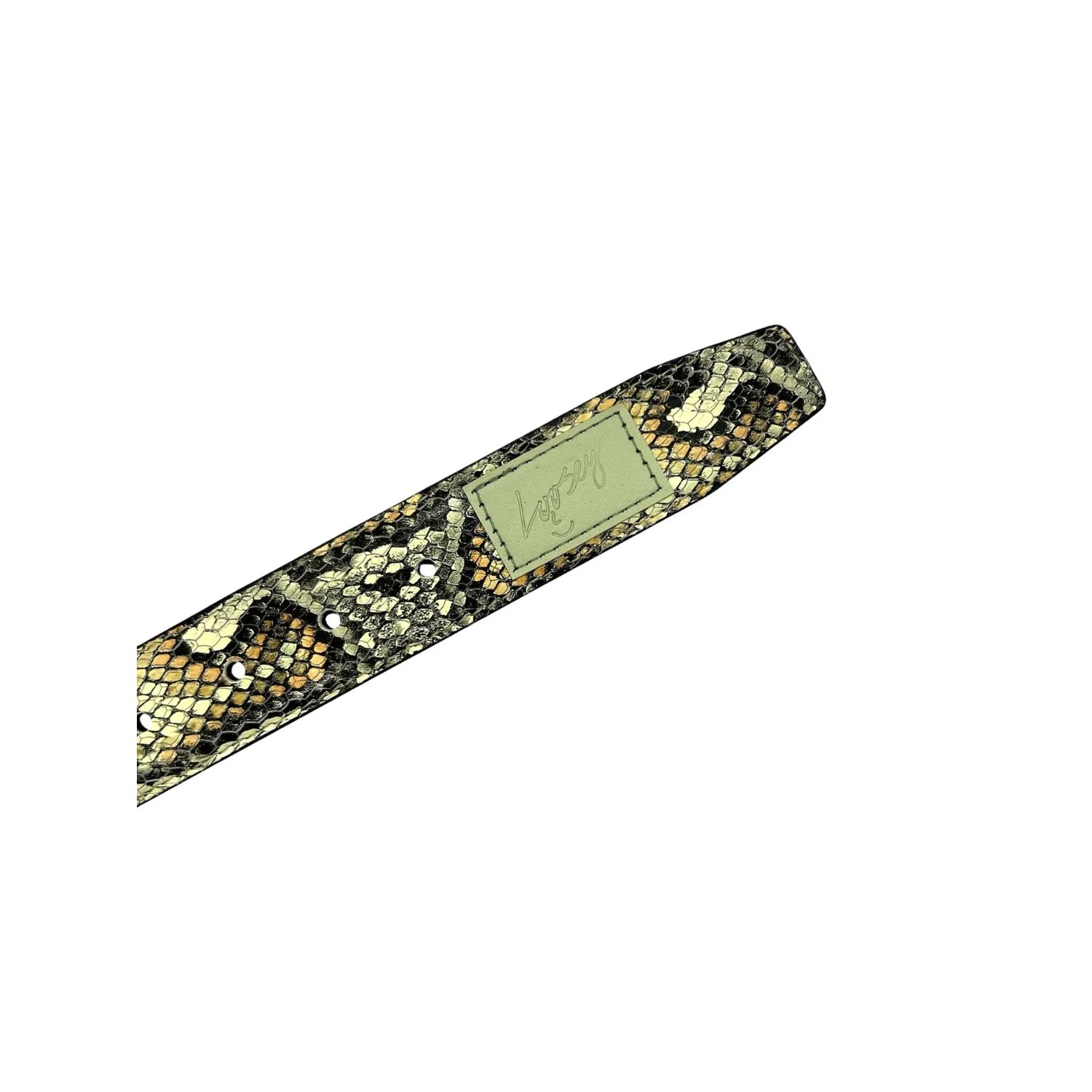 Cuir de serpent, boucle à motif, imprimé serpent, écussons rembourrés, aspect cuir