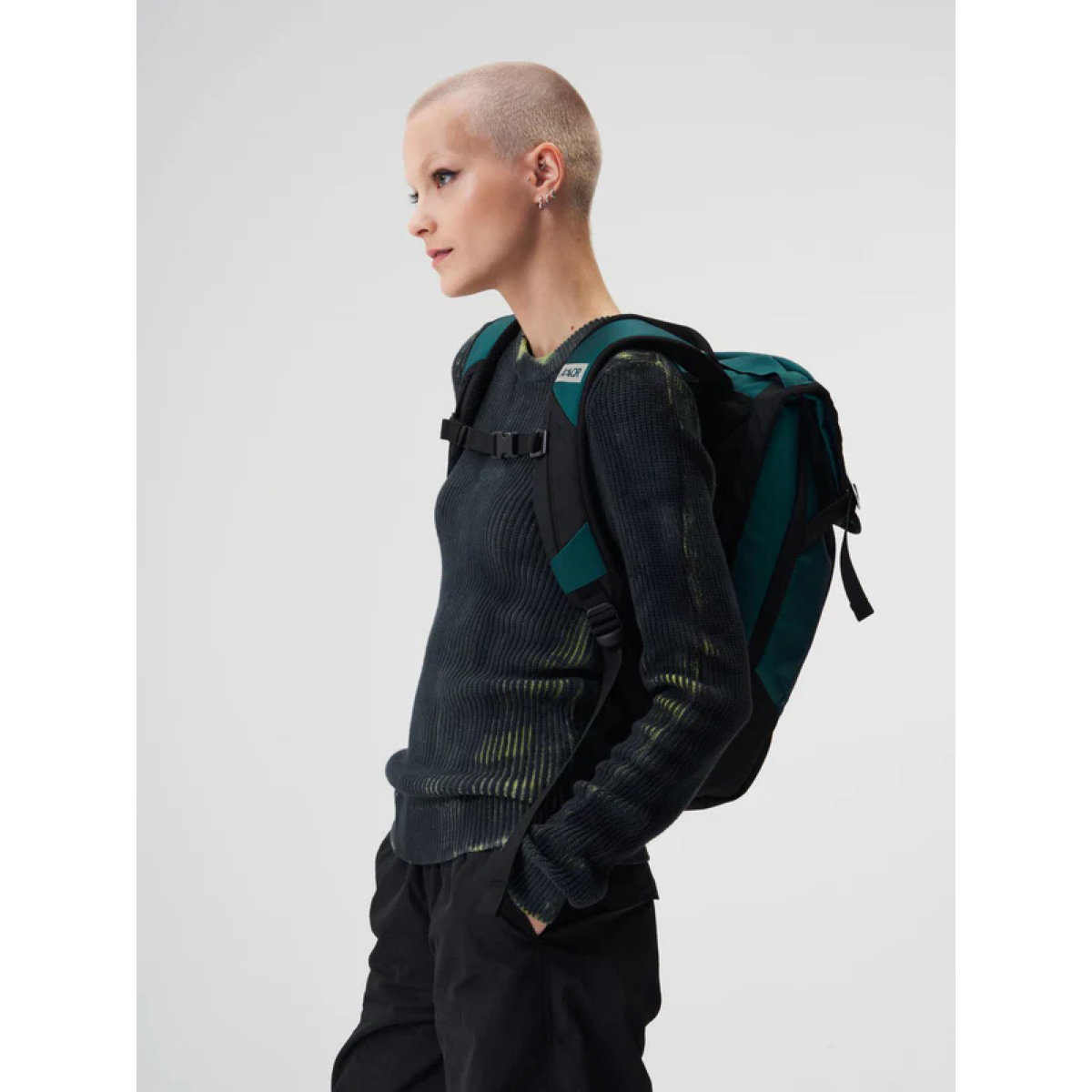 Daypack Sac, sac à dos, personne, voyages avec sac à dos