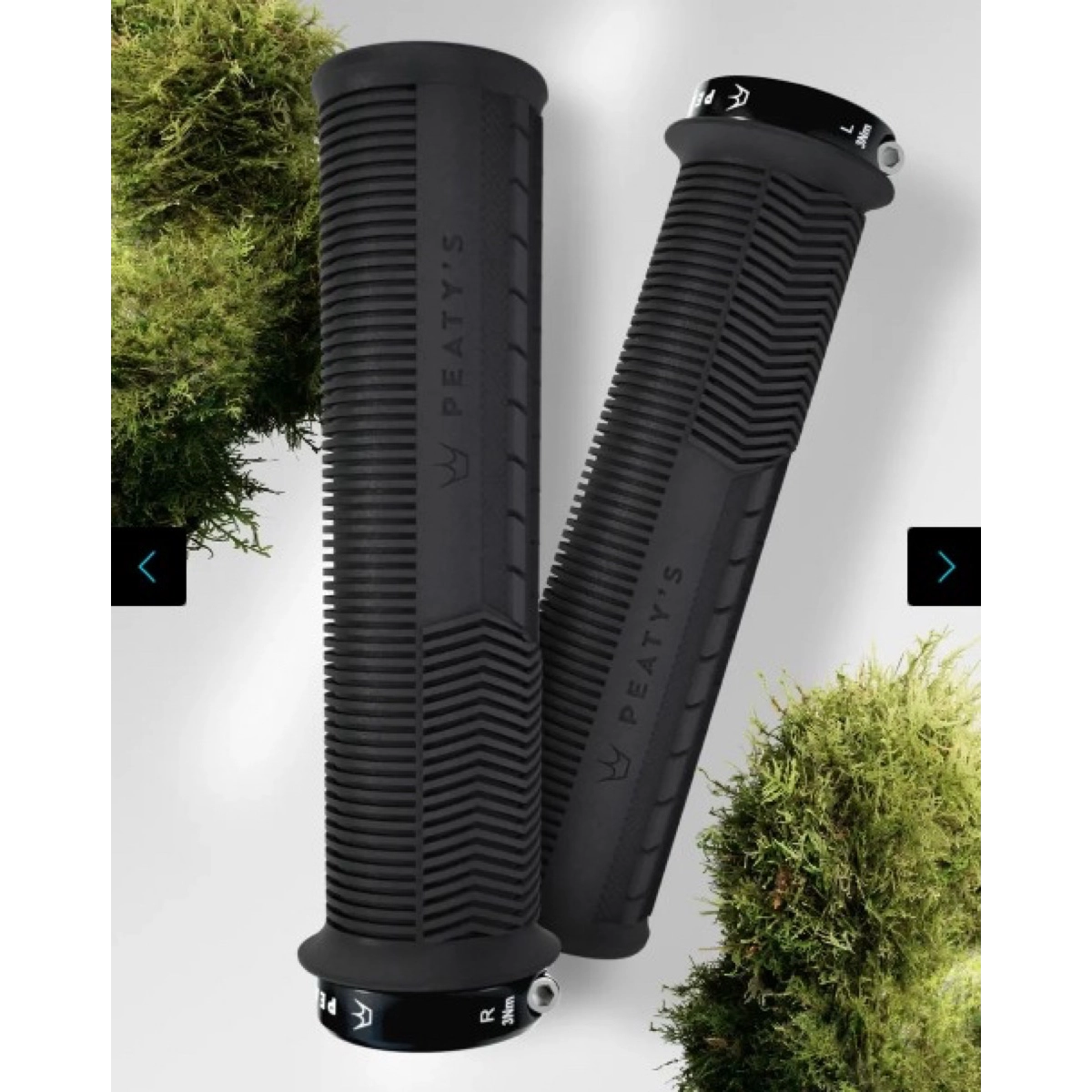 Griffe Monarch Mushroom Thin Griffe Monarch Mushroom Thin