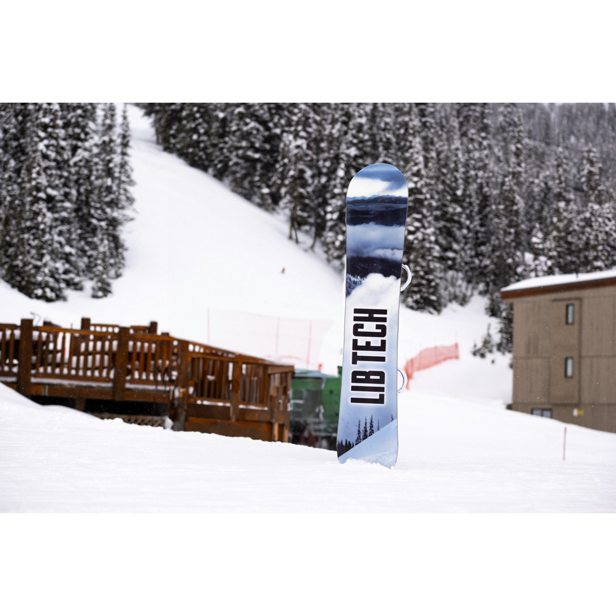 Natur, Draußen, Unterschlupf, Piste, Baum