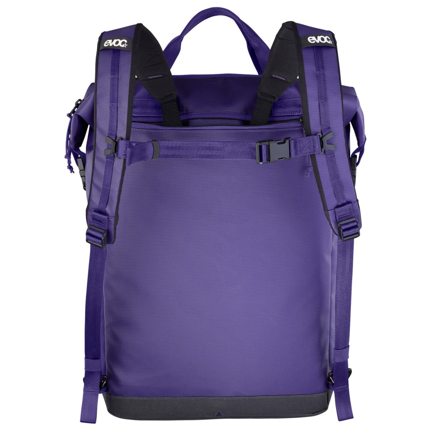 Rucksack, Backpack, Lila, Riemen, Kompakt