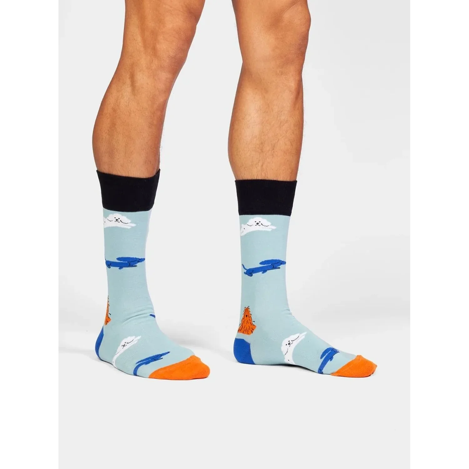 Chaussettes pour homme, bleu clair, motif animalier, talon coloré, bord noir