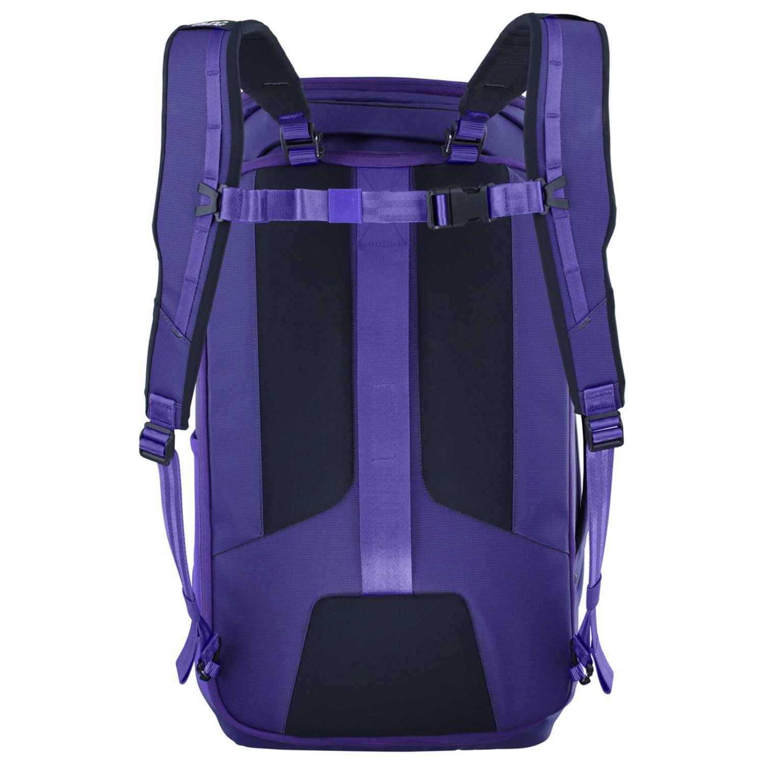 Rucksack, Rückenpolster, Purple, Tragegurte, Rucksackfarbe