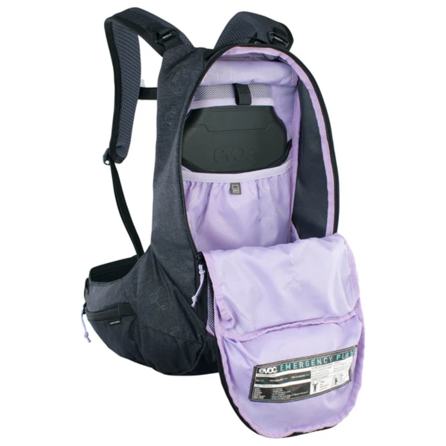 Sac à dos, sac à dos, sac, lilas, accessoire avant