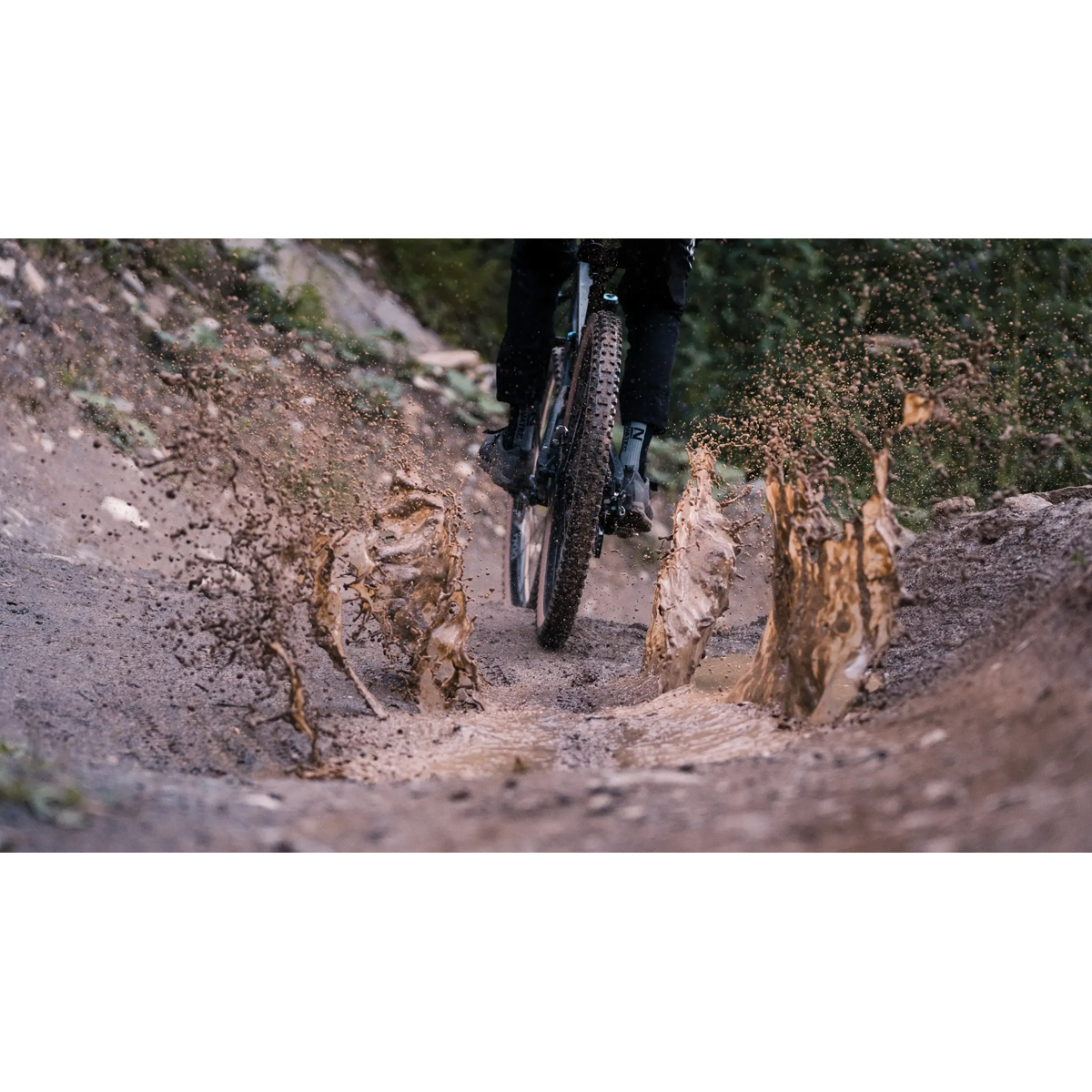 Porcupine 29x2.50 Grc 120 Fb50 Porcupine 29x2.50 Grc 120 Fb50