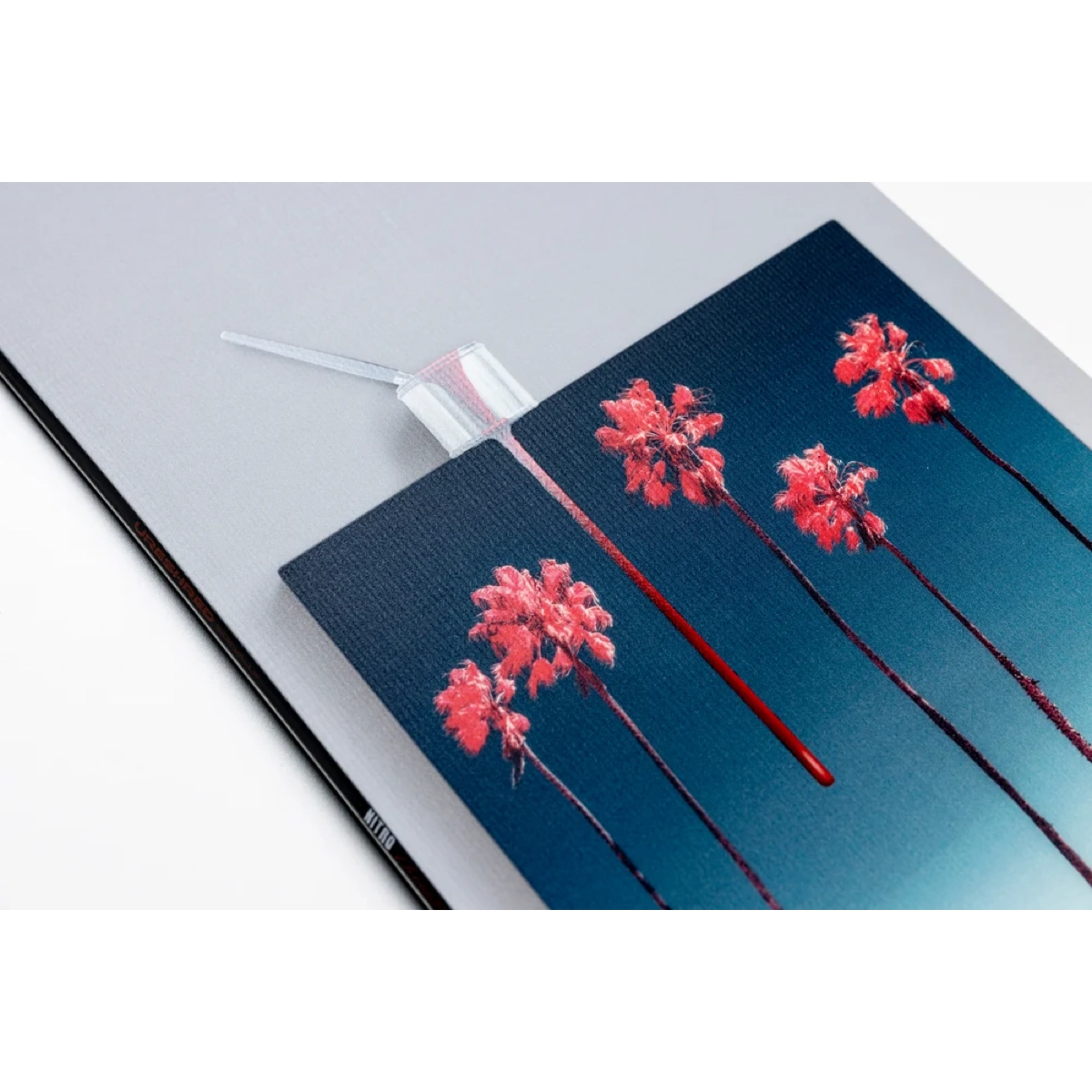 Carnet, carte postale, palmiers, dégradé, brillant, affiche, toile, palmiers, dégradé bleu, touches de rouge