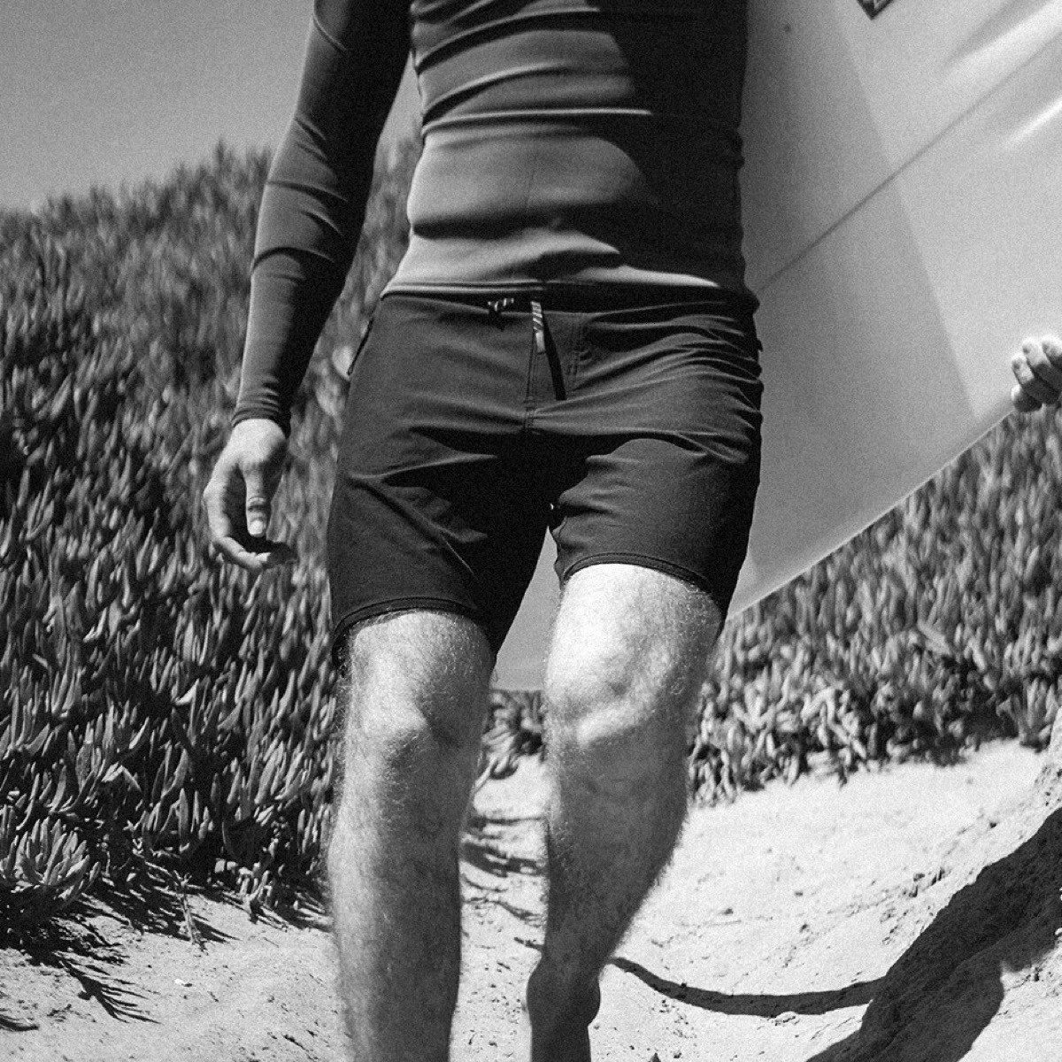 Haapiti Boardshorts Haapiti Boardshorts