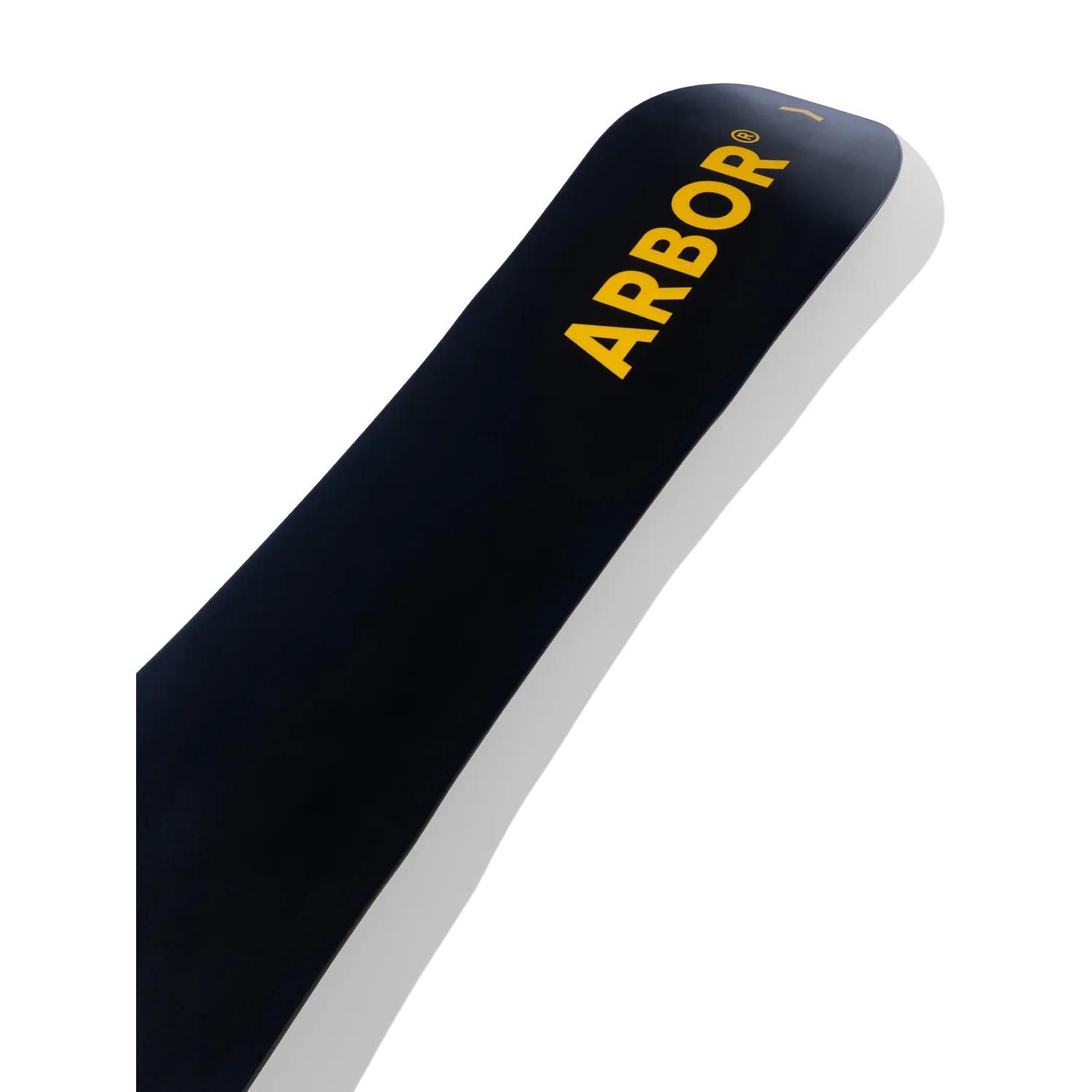 arbor Coda, Ansicht 3