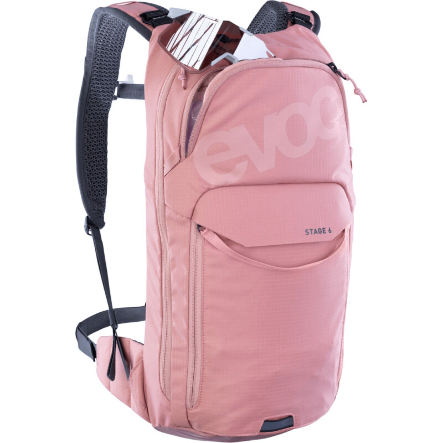 Rucksack, Trekking, Rucksack pink, Staubschutz, Stadturlaub