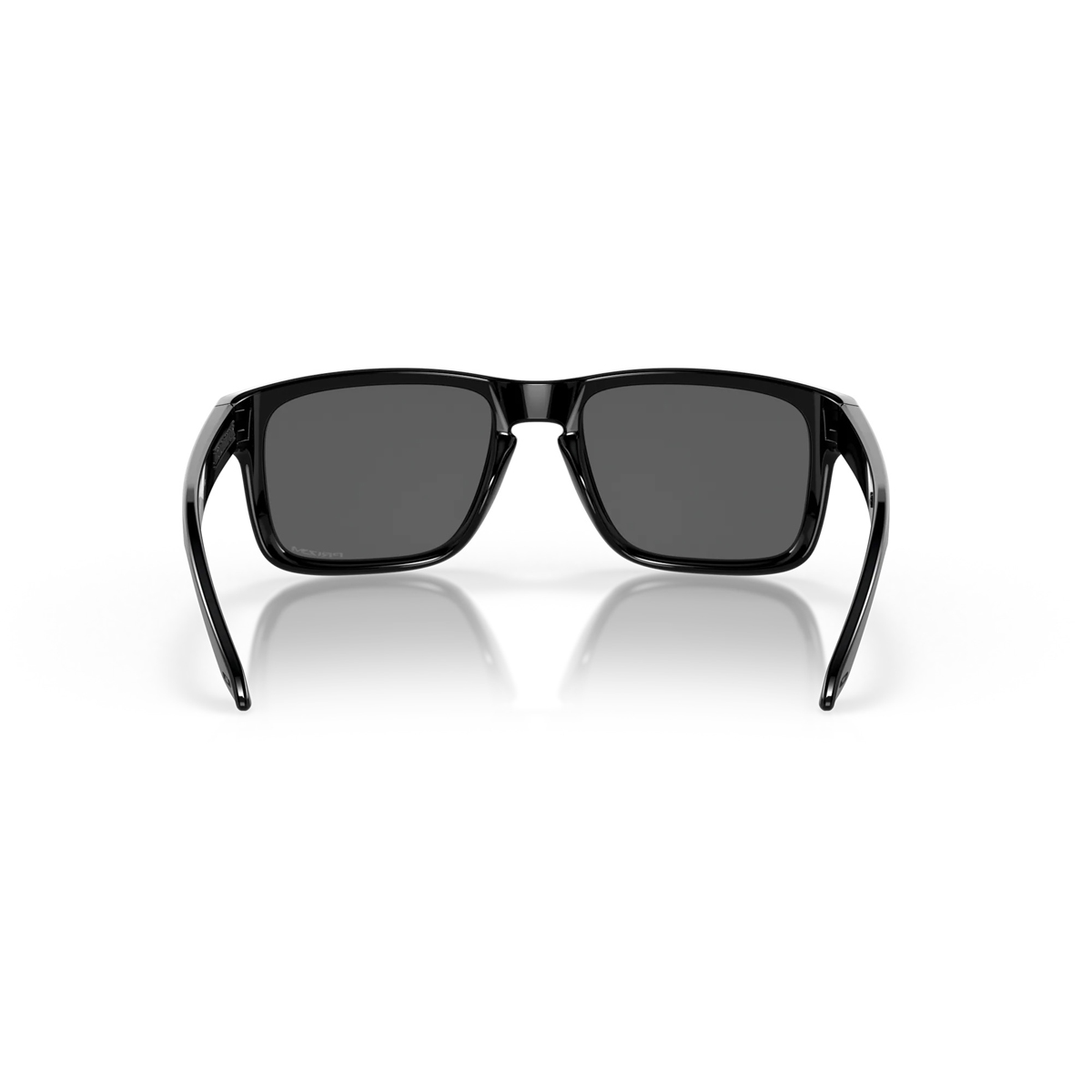 Holbrook Oakley Holbrook, vue 2