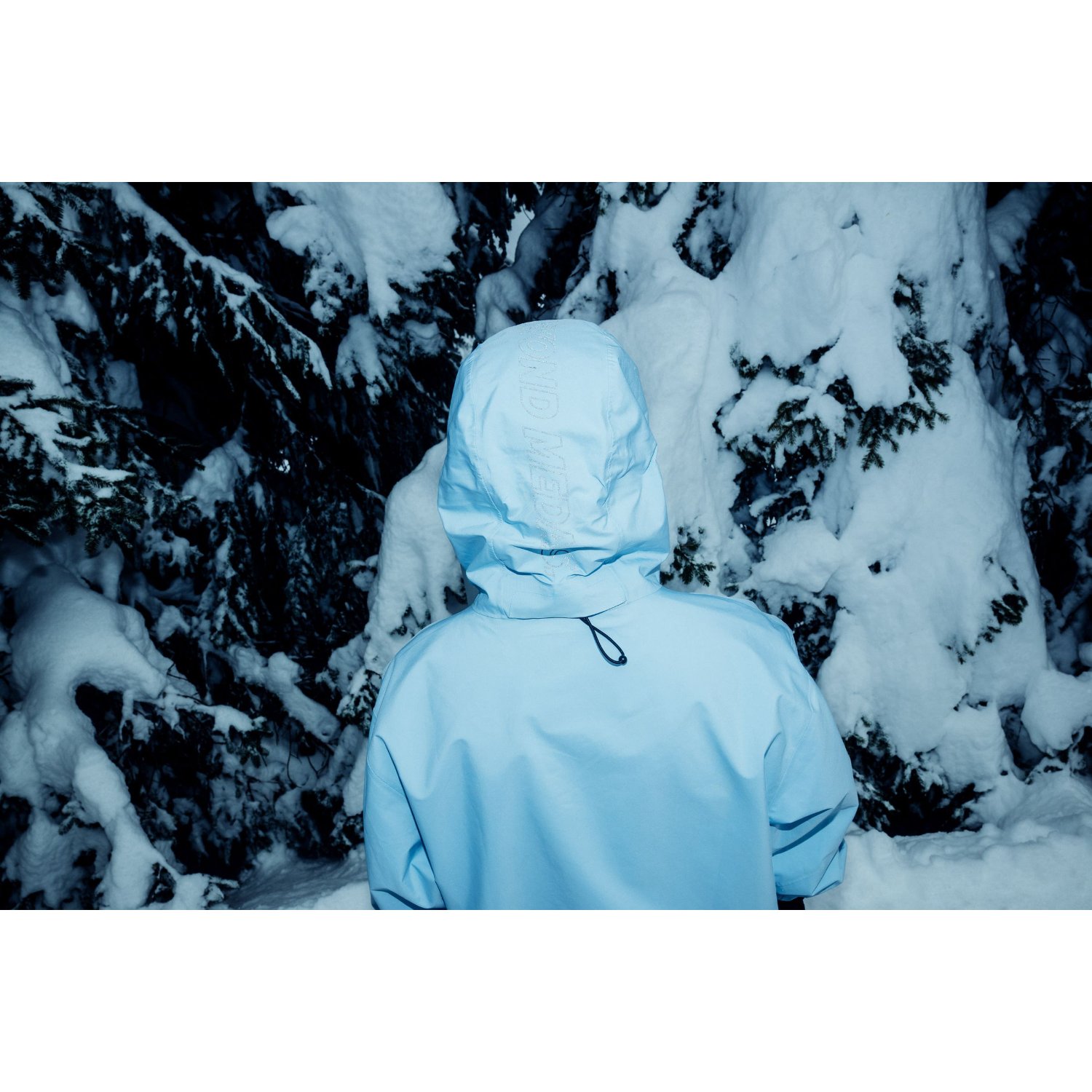 Hooded jacket, Winter jacket, Light blue, Snowy forest, Back view