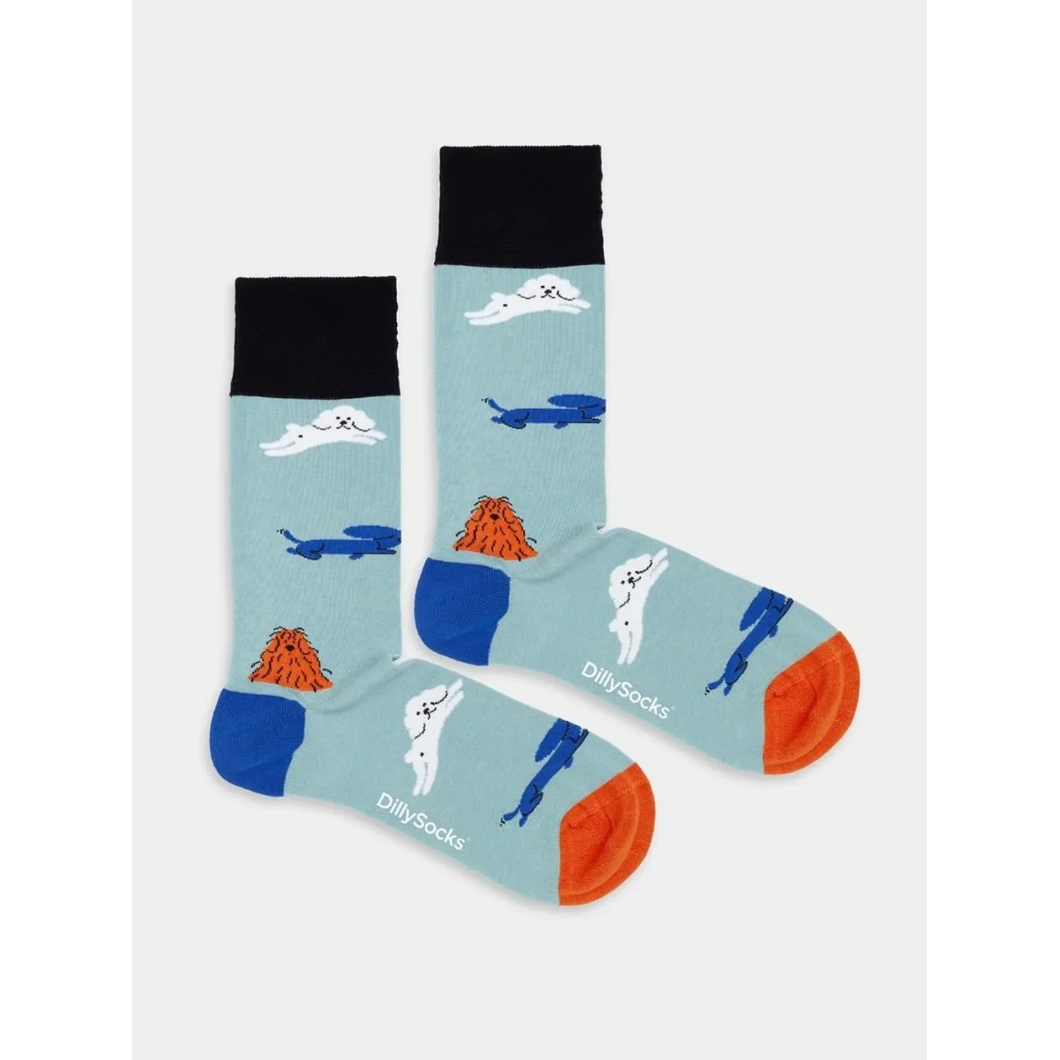 Pawesome Crew Chaussettes, motifs d'animaux, bleu clair, bords-côtes noirs, pointes colorées