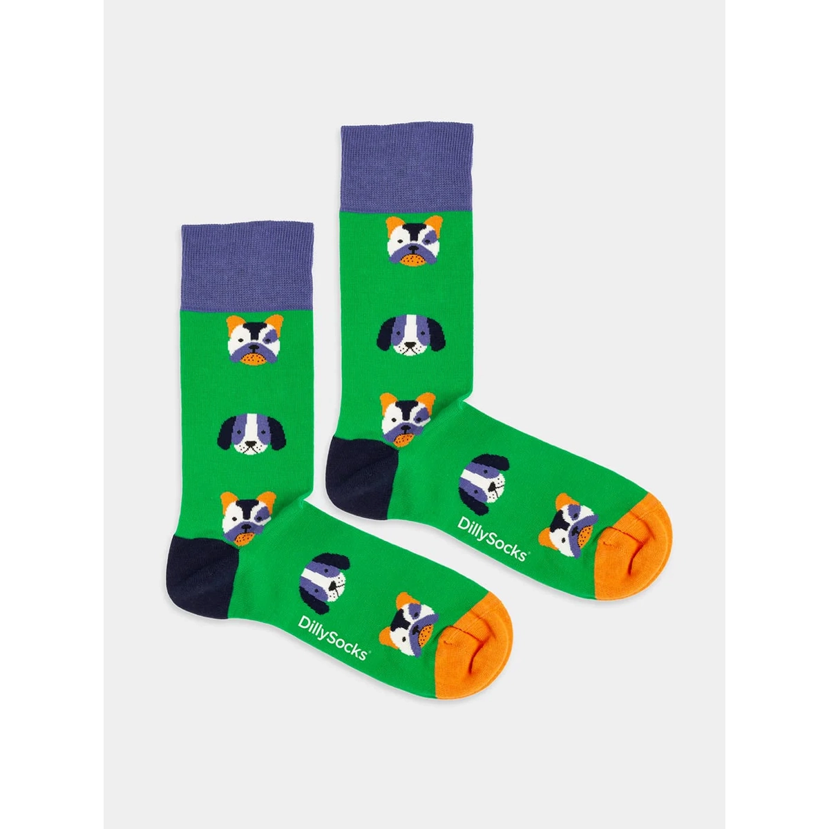 Dog Portraits Dog Portraits