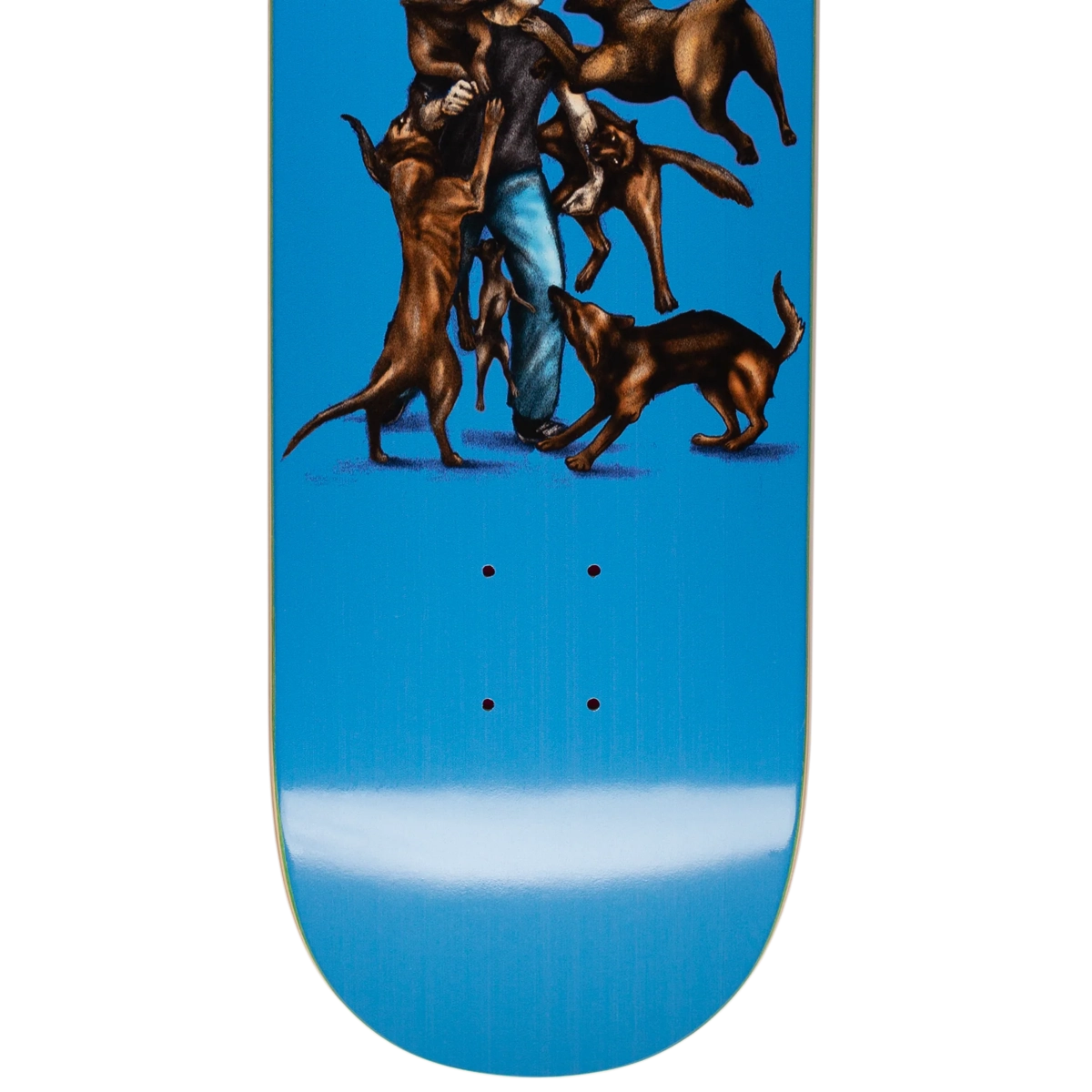 Incoming John Fitzgerald 8.38 Skateboard, planche, Dog, bleu, graphismes