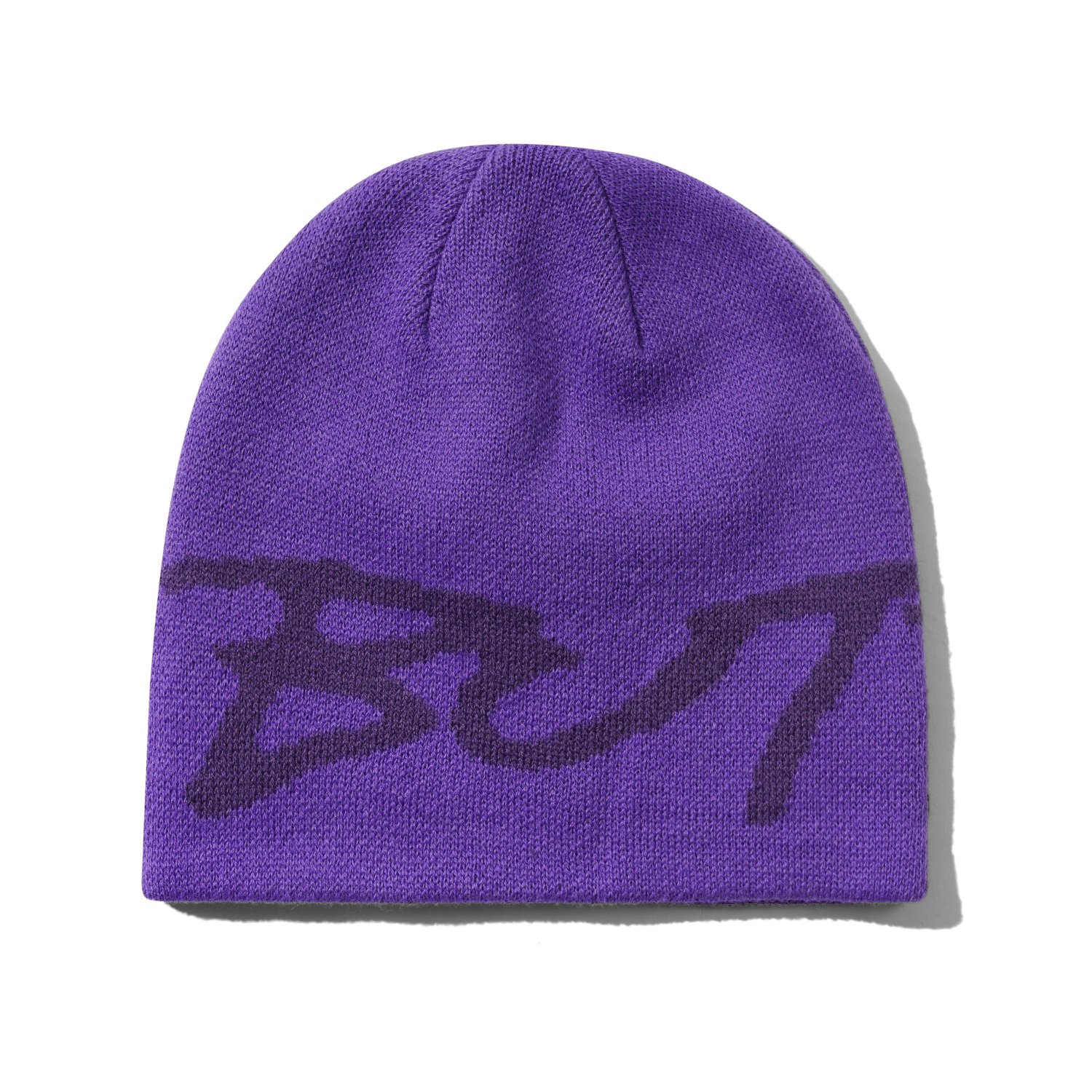 Terrain Skully Beanie
