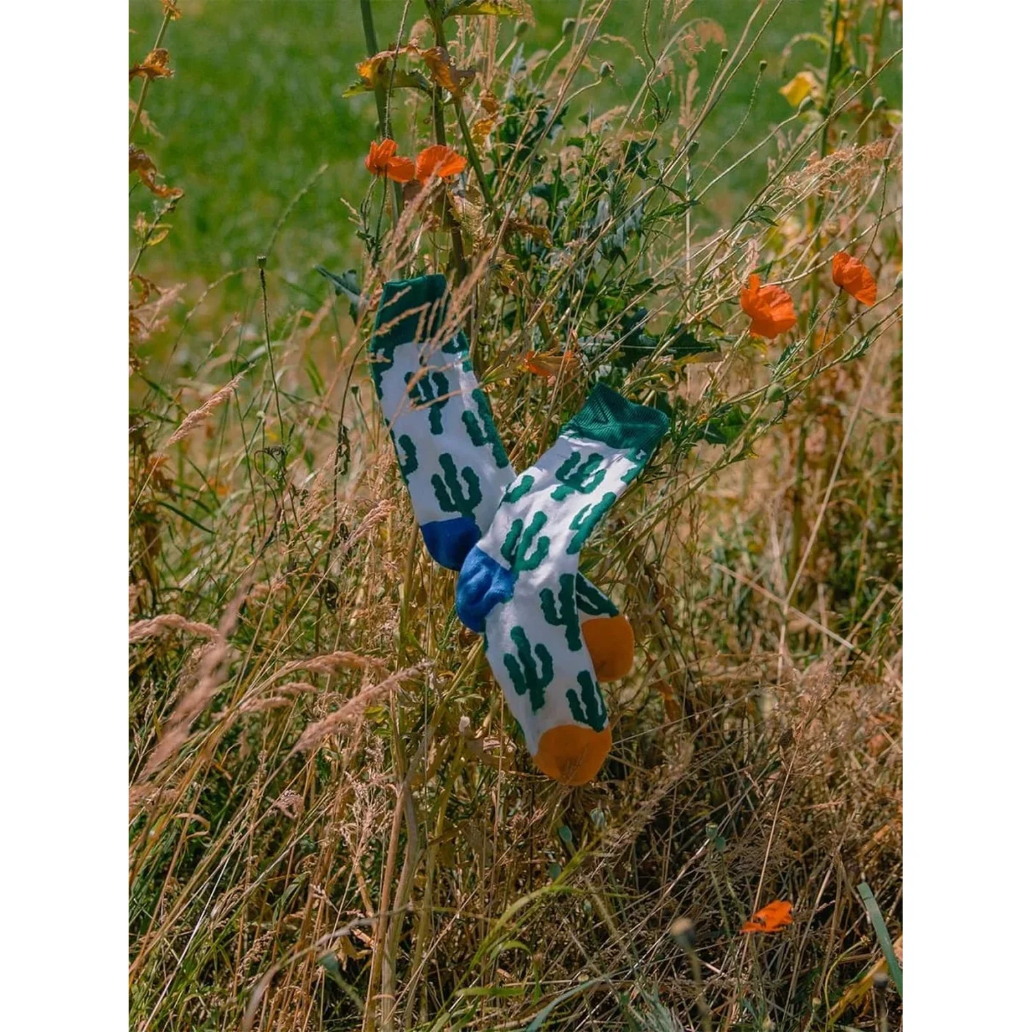 Desert Plants Chaussettes, motif cactus, tissu blanc, bords-côtes bleus, talons et pointes orange