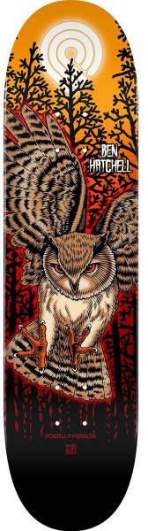 Owl 2 Ben Hatchell