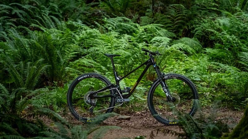 Un VTT se trouve au milieu des fougères dans la forêt