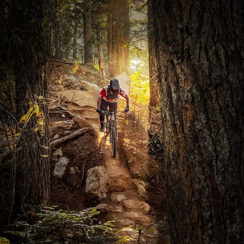 Mountainbiker auf einem Waldtrail im Gegenlicht